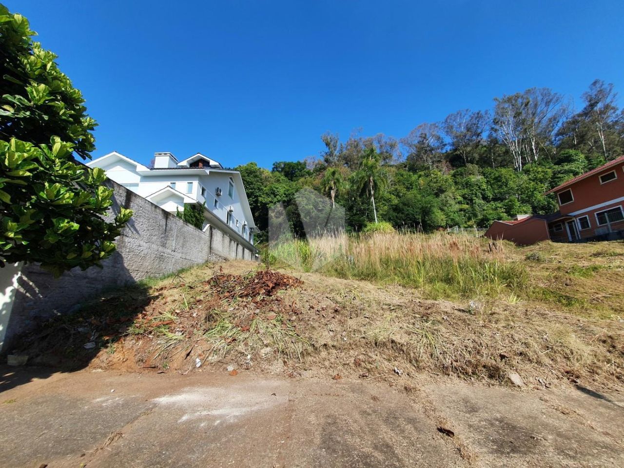 Terreno